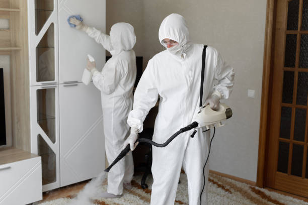 Best Mold Remediation Services  in Lamont, MI